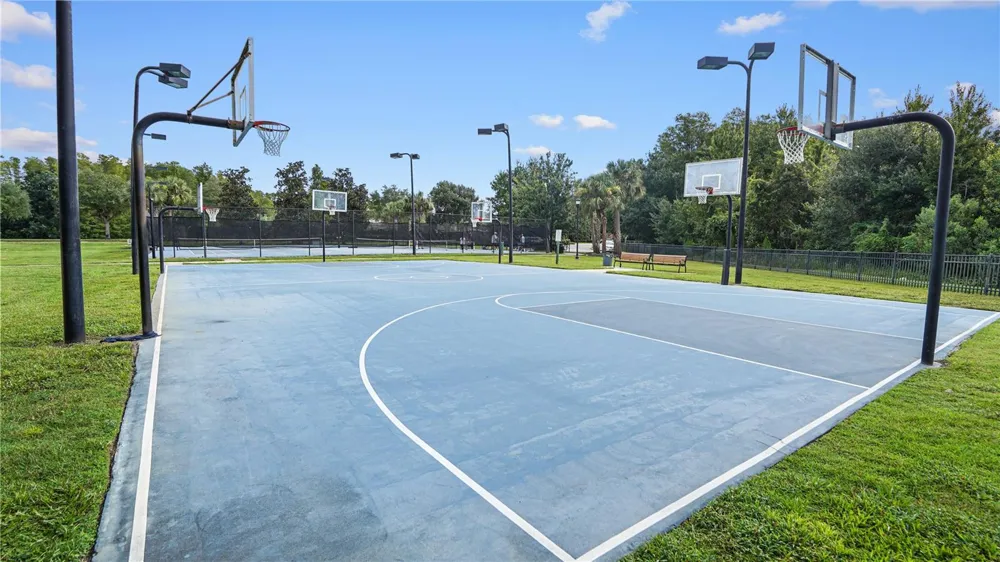 19420 SUNSET BAY DRIVE Land O Lakes, FL 34638