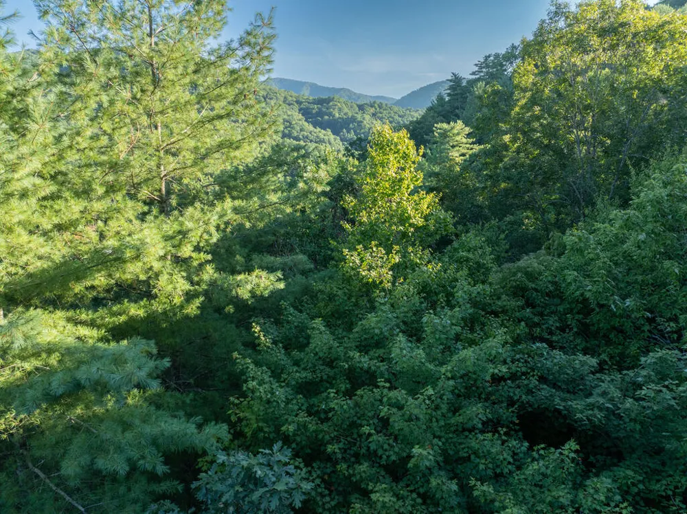 Atoah Road Robbinsville, NC 28771