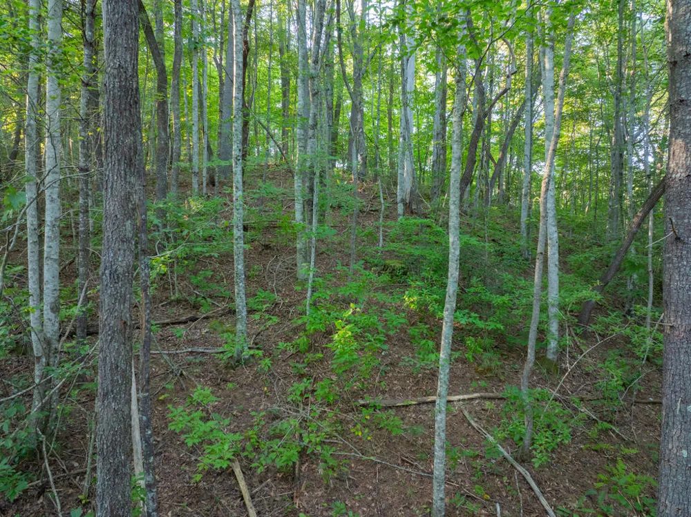 Atoah Road Robbinsville, NC 28771