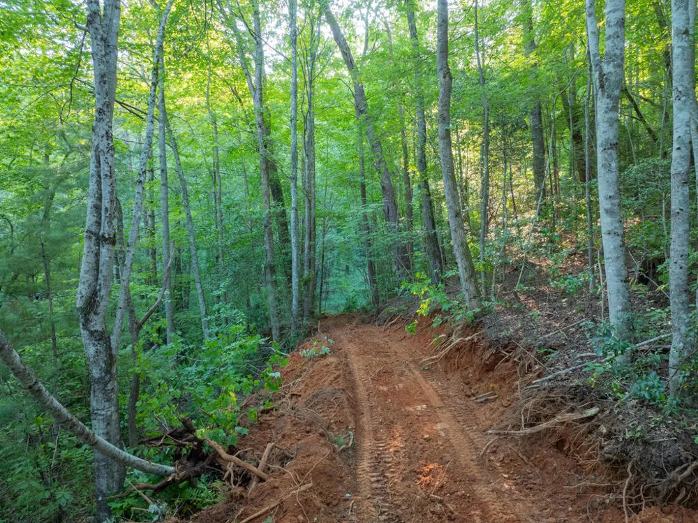 Atoah Road Robbinsville, NC 28771