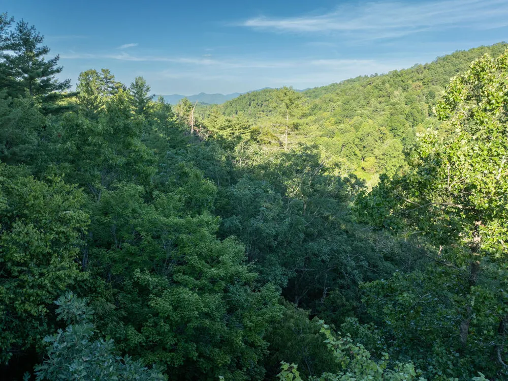 Atoah Road Robbinsville, NC 28771