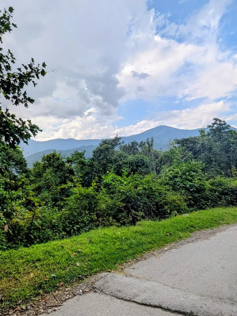 Forest Drive Maggie Valley, NC 28751