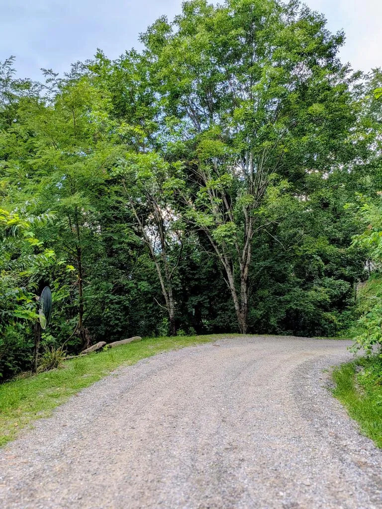 Forest Drive Maggie Valley, NC 28751