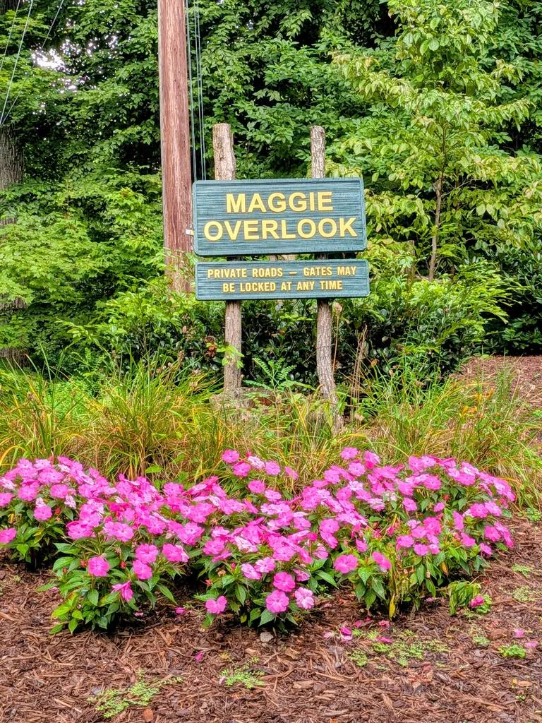 Forest Drive Maggie Valley, NC 28751