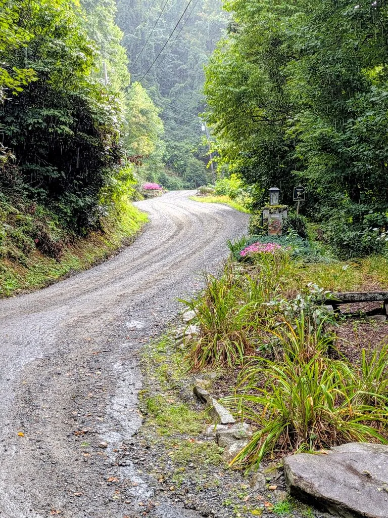 Forest Drive Maggie Valley, NC 28751