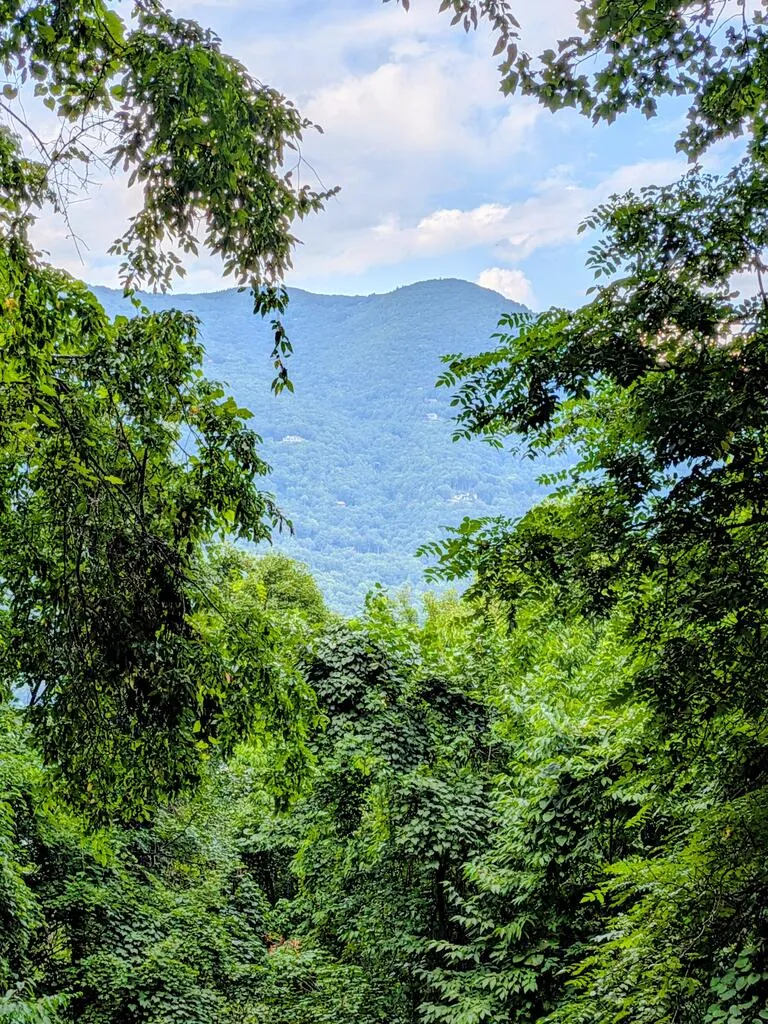 Forest Drive Maggie Valley, NC 28751