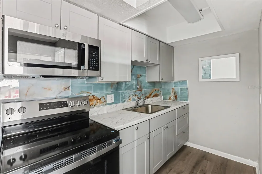 6100 12TH STREET S #313 St Petersburg, FL 33705