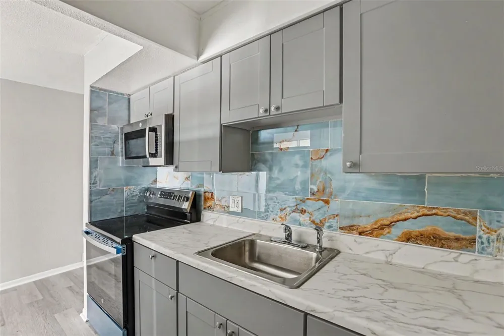 6100 12TH STREET S #313 St Petersburg, FL 33705