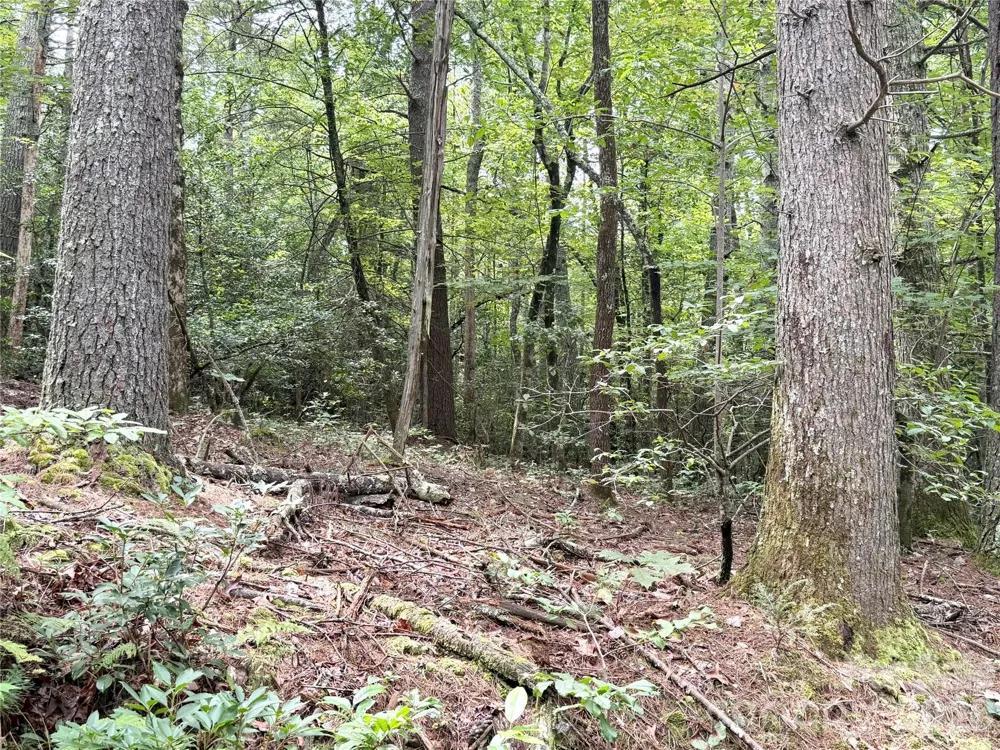 TBD NC Hwy 268 Highway #2 Lenoir, NC 28645