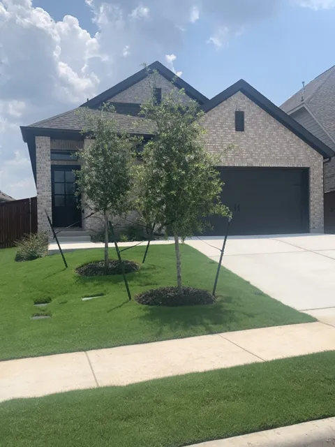 221 Rosebush Drive