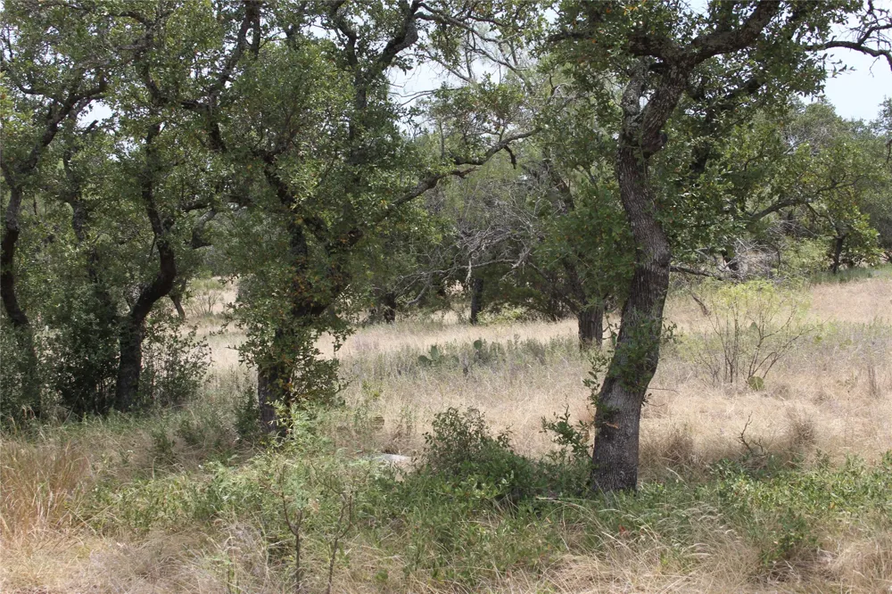 9495 Turkey Trail San Saba, TX 76877