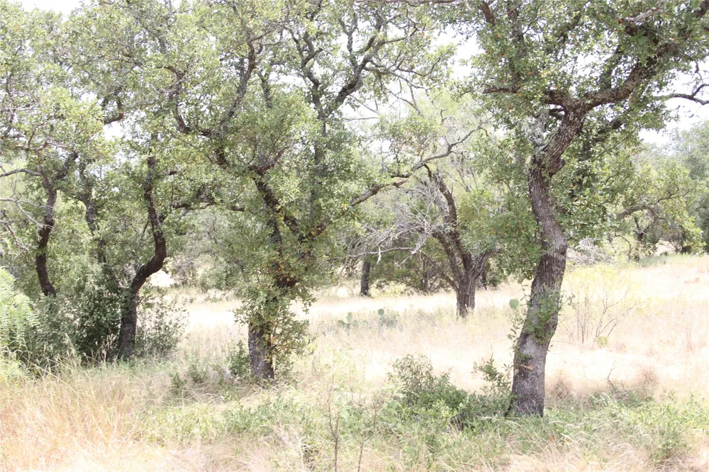 9495 Turkey Trail San Saba, TX 76877