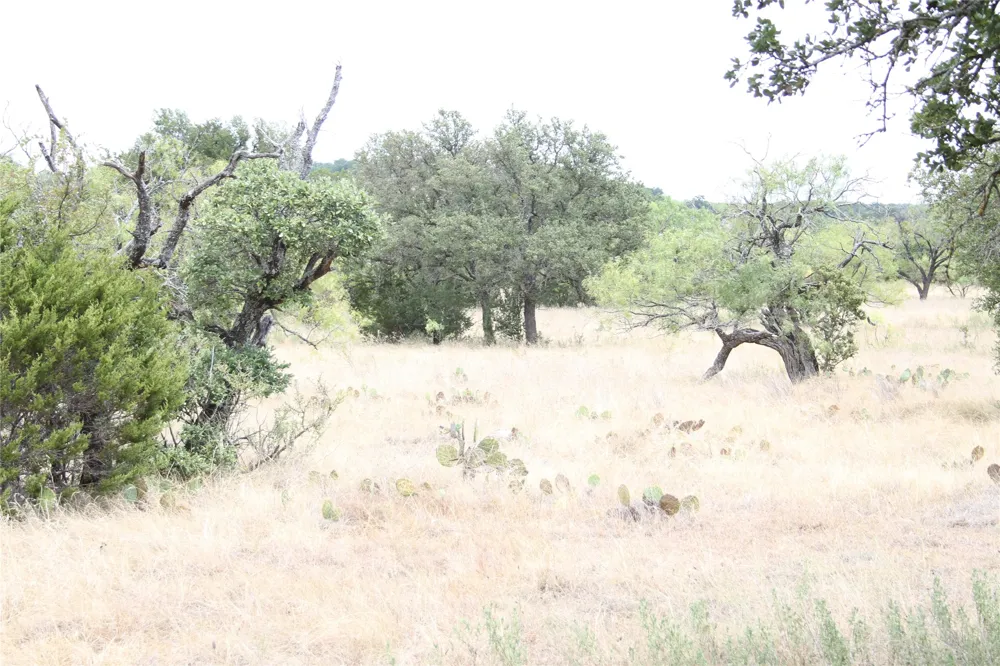 9495 Turkey Trail San Saba, TX 76877