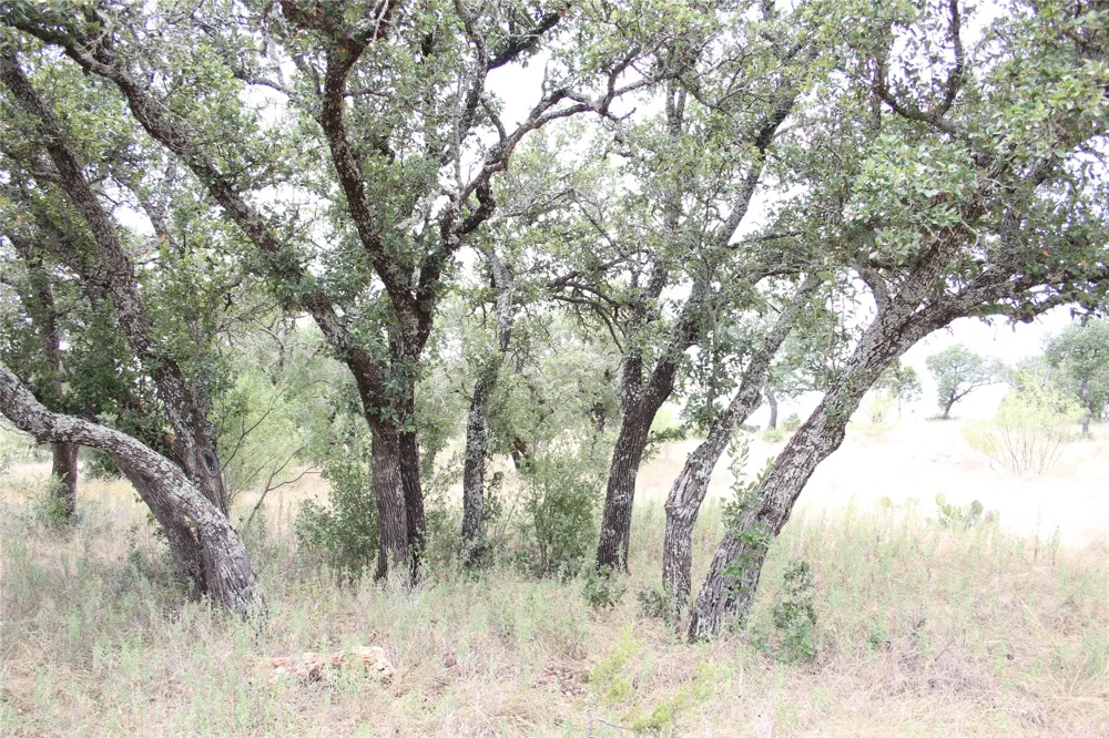 9495 Turkey Trail San Saba, TX 76877