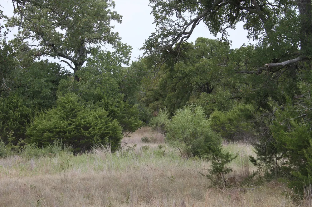 9495 Turkey Trail San Saba, TX 76877