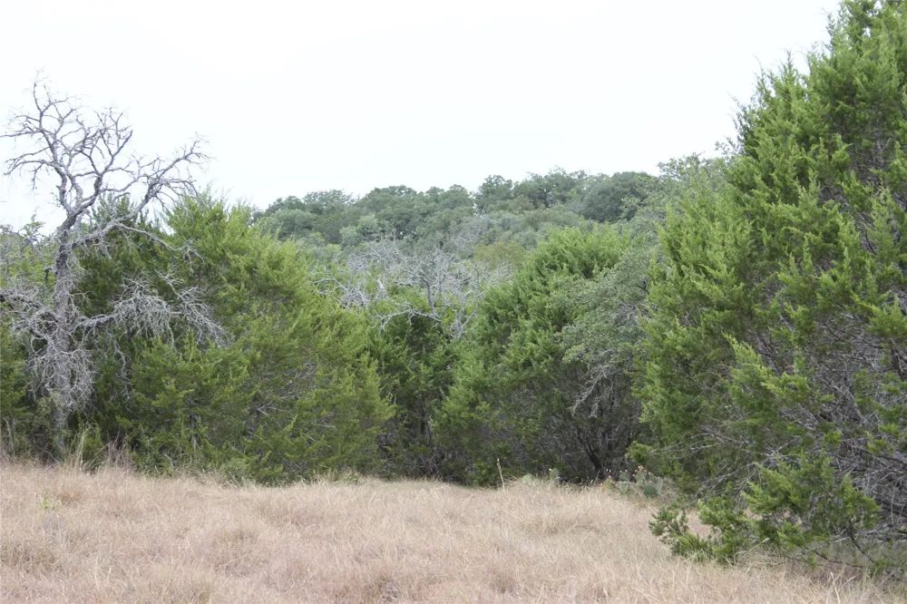 9495 Turkey Trail San Saba, TX 76877