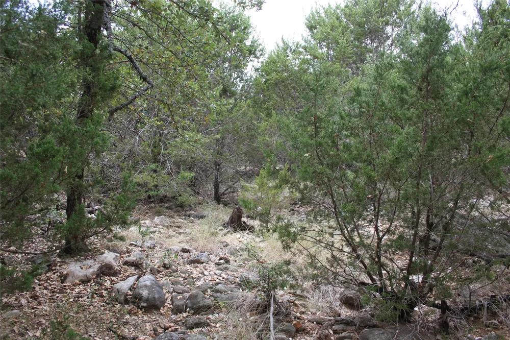 9495 Turkey Trail San Saba, TX 76877