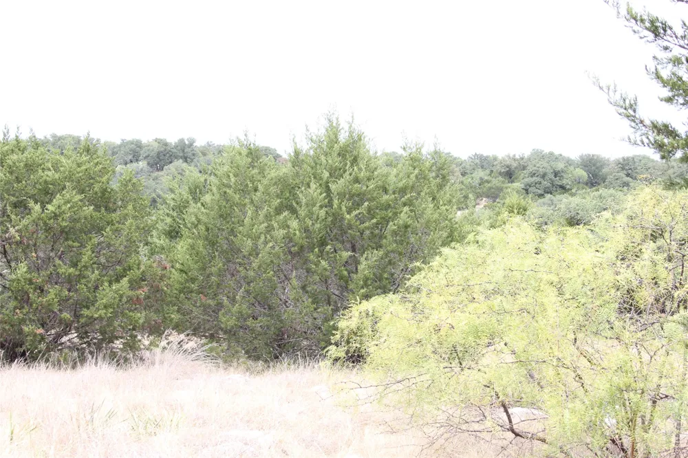 9495 Turkey Trail San Saba, TX 76877