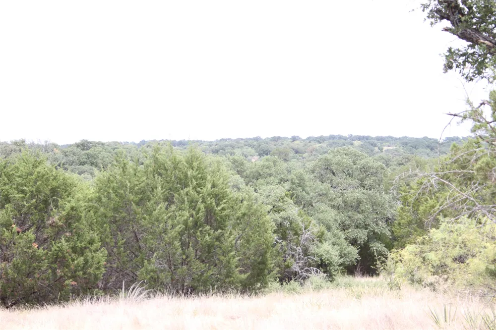 9495 Turkey Trail San Saba, TX 76877