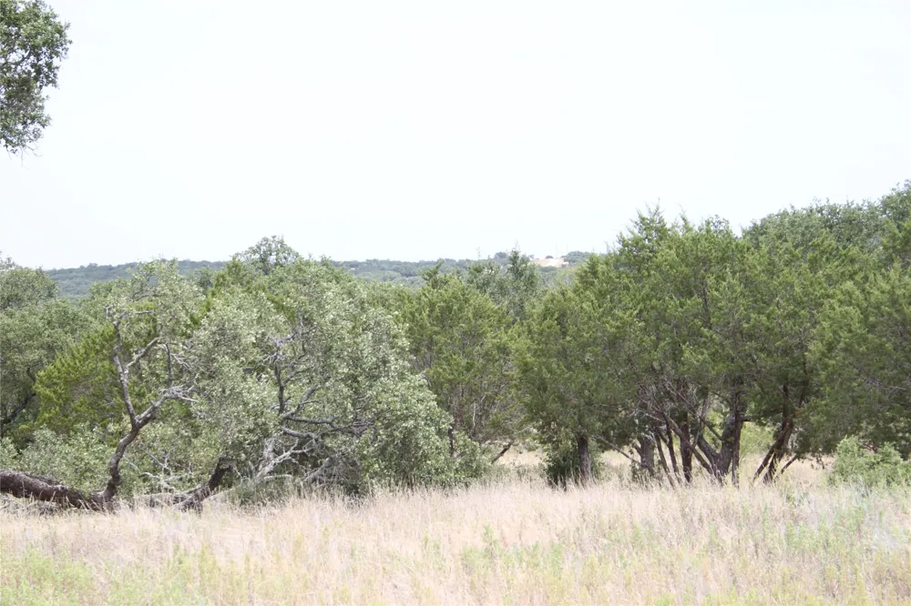 9495 Turkey Trail San Saba, TX 76877