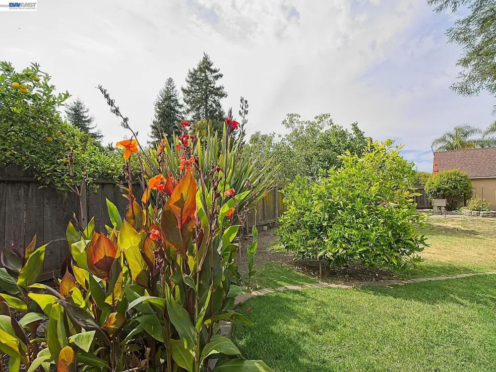 574 Broadmoor Blvd San Leandro, CA 94577