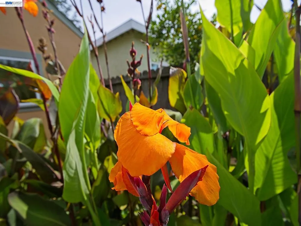 574 Broadmoor Blvd San Leandro, CA 94577