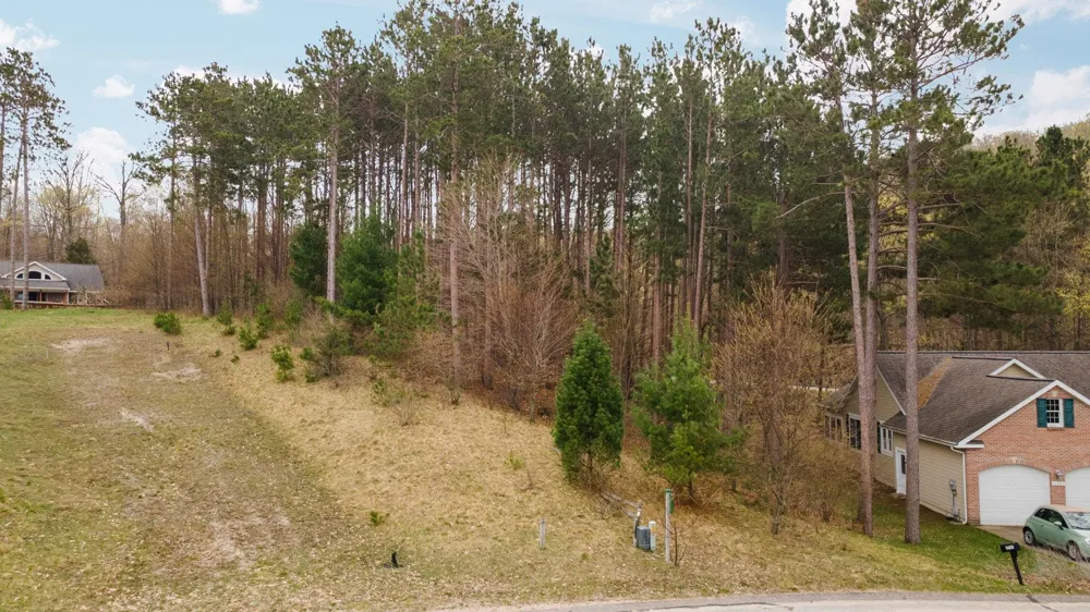 11789 S Roen Drive Leelanau Township, MI 49630