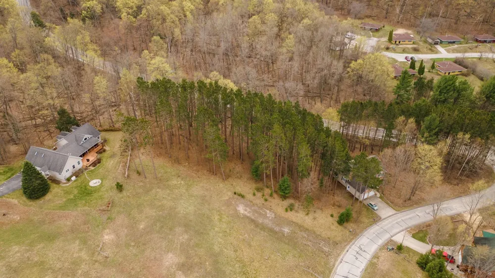11789 S Roen Drive Leelanau Township, MI 49630