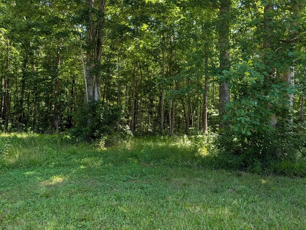 16938 Highway 70 Monterey, TN 38574