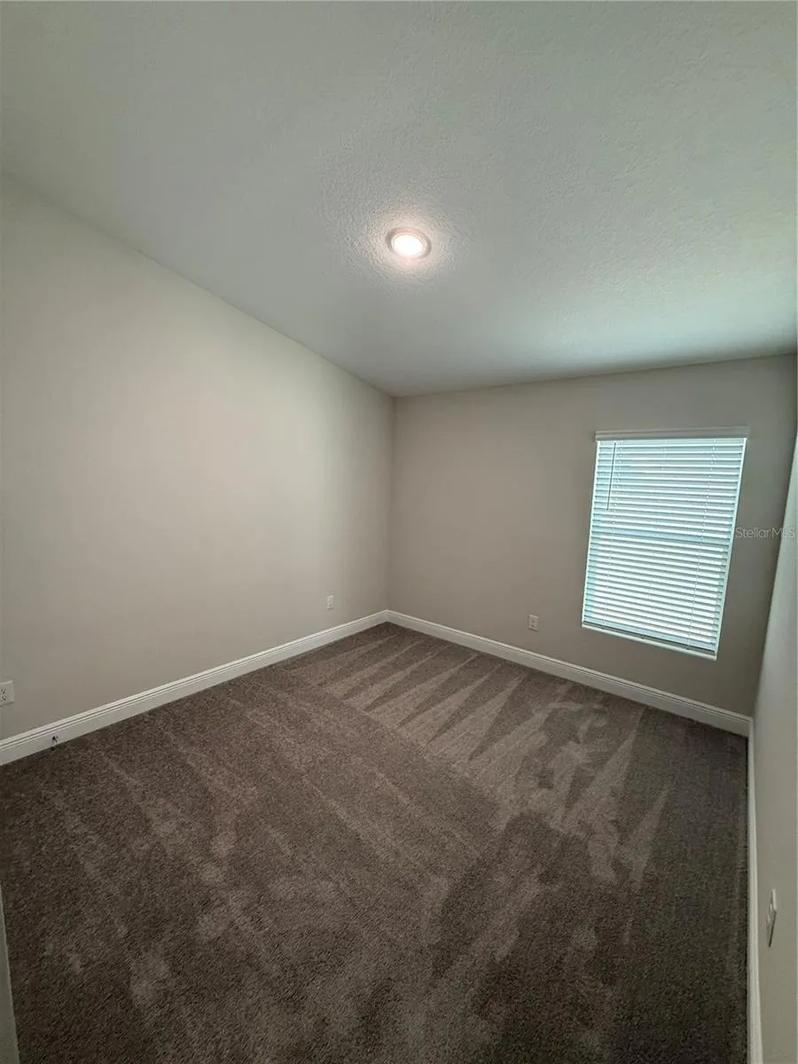 9924 ANNUNCIATION DRIVE Wesley Chapel, FL 33545