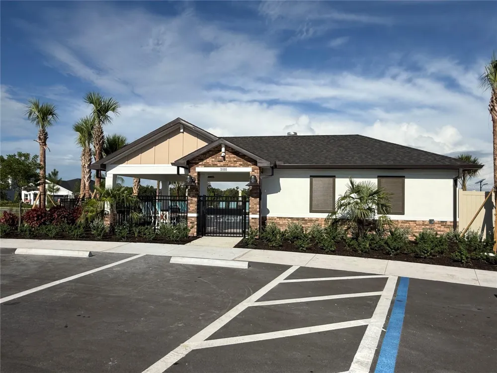 9924 ANNUNCIATION DRIVE Wesley Chapel, FL 33545