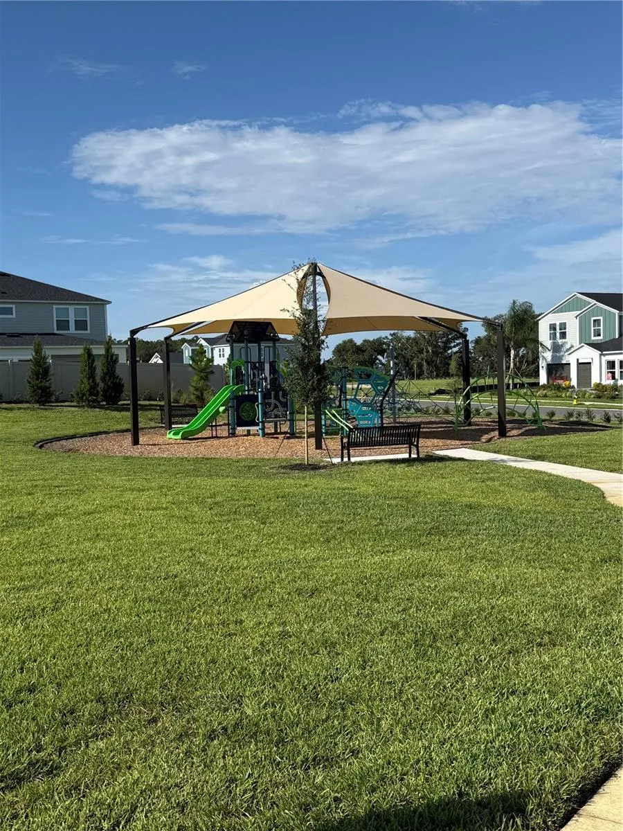 9924 ANNUNCIATION DRIVE Wesley Chapel, FL 33545