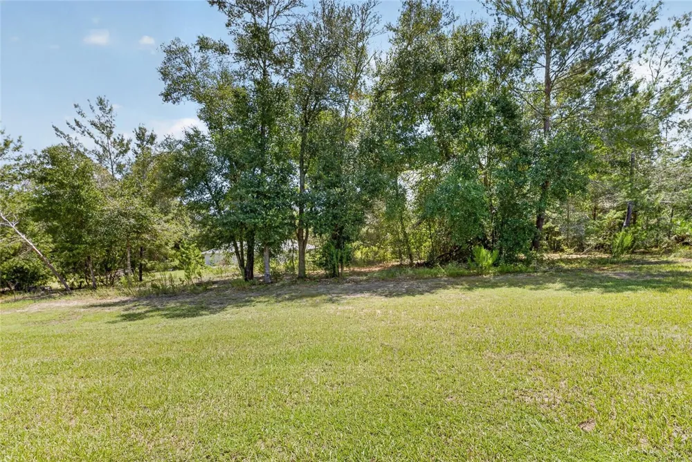 19058 SAINT AUGUSTINE DRIVE Dunnellon, FL 34432