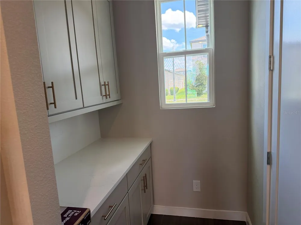 17819 TWISTED MANDARIN ALLEY Winter Garden, FL 34787