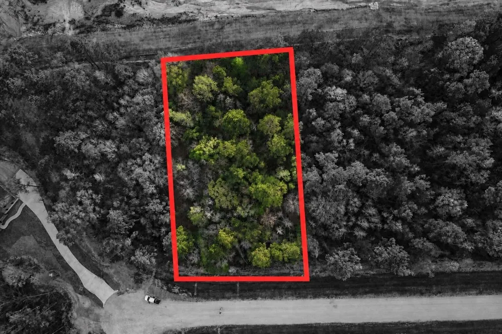 186 Bunkhouse Road New Waverly, TX 77358