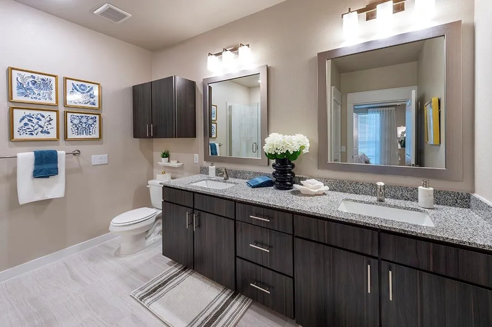 30020 Creekside Terrace Drive #8201 Spring, TX 77386
