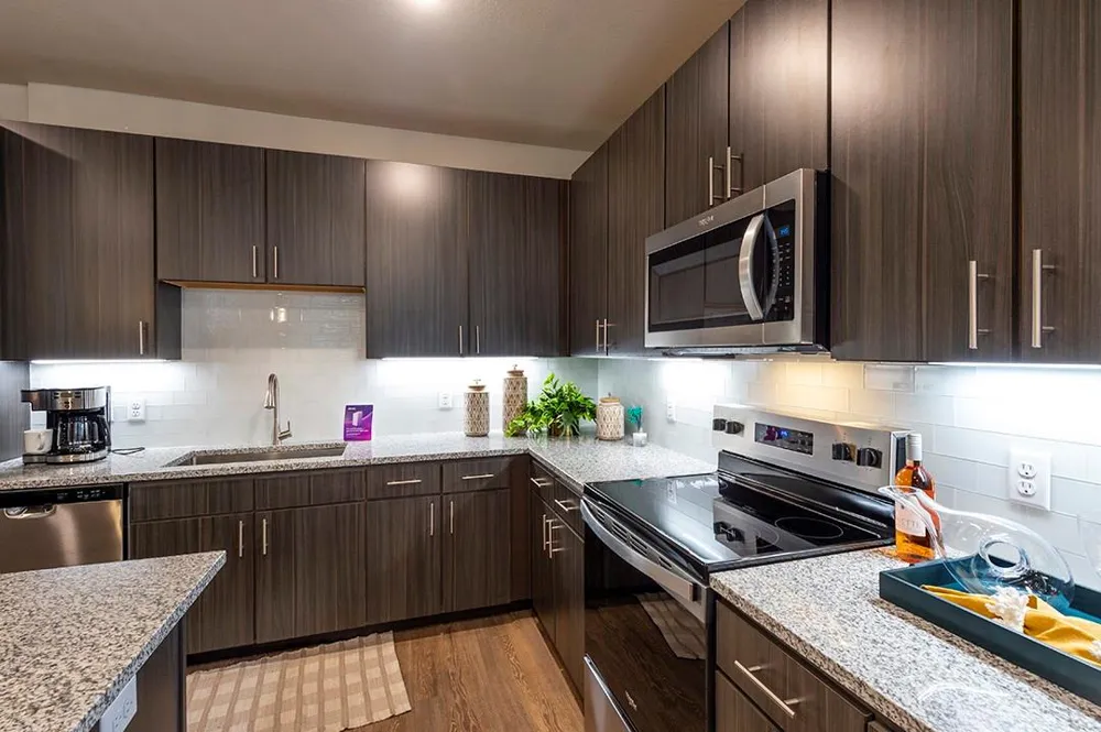 30020 Creekside Terrace Drive #8201 Spring, TX 77386