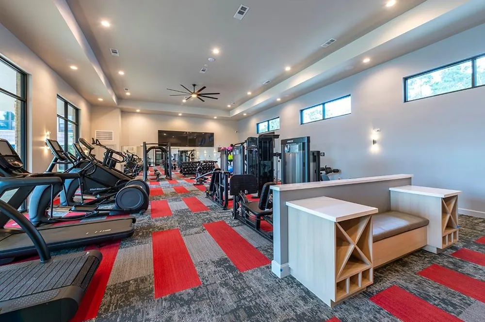 30020 Creekside Terrace Drive #8201 Spring, TX 77386