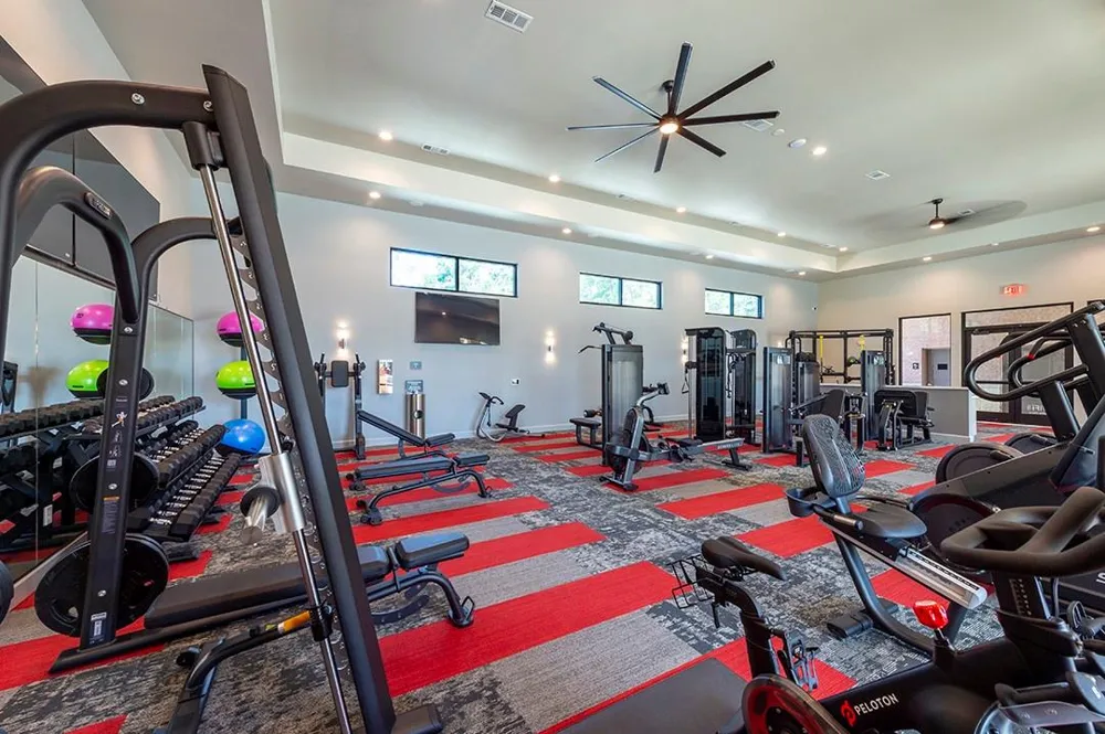30020 Creekside Terrace Drive #8201 Spring, TX 77386