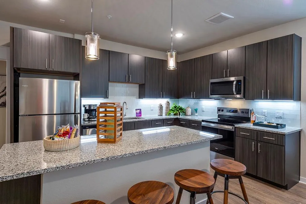 30020 Creekside Terrace Drive #8201 Spring, TX 77386