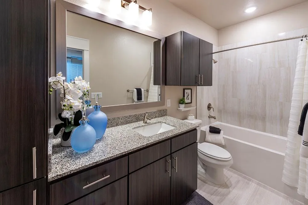 30020 Creekside Terrace Drive #8201 Spring, TX 77386