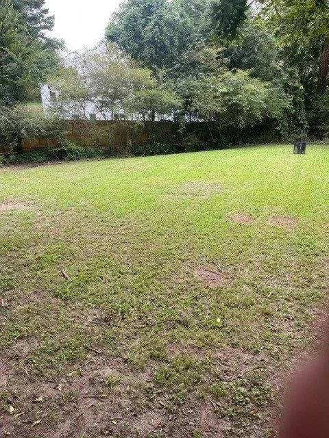 203 Briarwood Drive Dallas, GA 30132