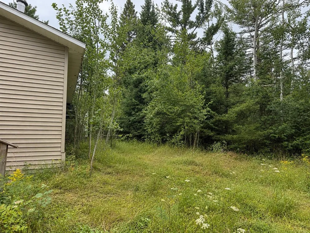 3270 Daisy Lane Maple Ridge Township, MI 49707