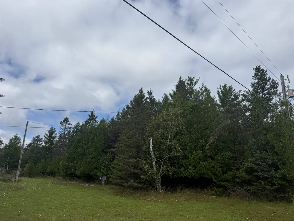 3270 Daisy Lane Maple Ridge Township, MI 49707