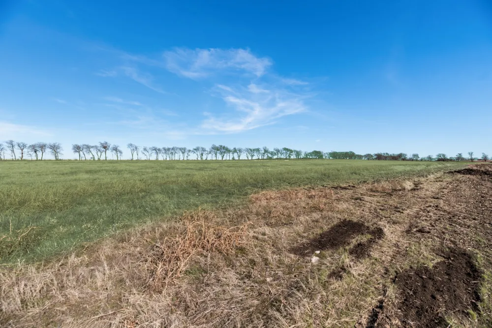 Bois D' Arc Lane Ponder, TX 76259