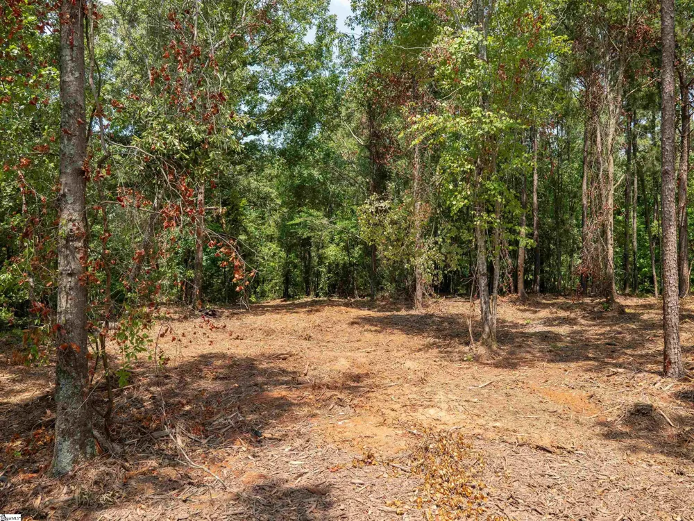 00 Cheek Road #Lot 19 Gray Court, SC 29645