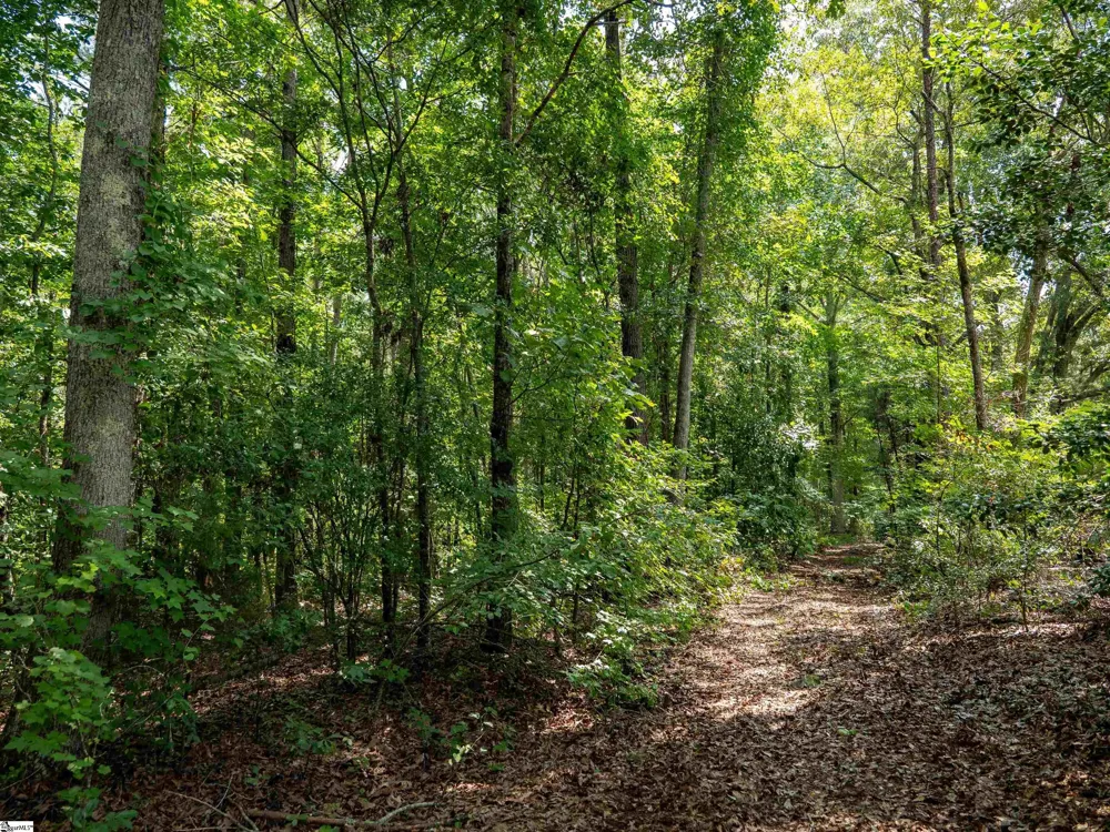 00 Cheek Road #Lot 19 Gray Court, SC 29645