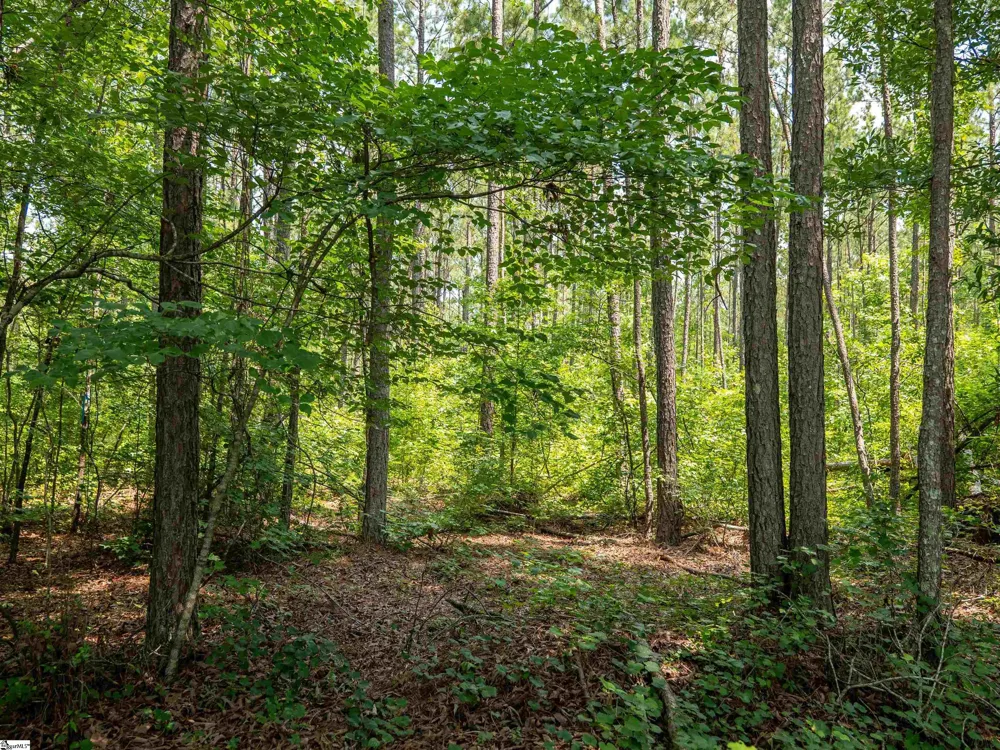 00 Cheek Road #Lot 19 Gray Court, SC 29645