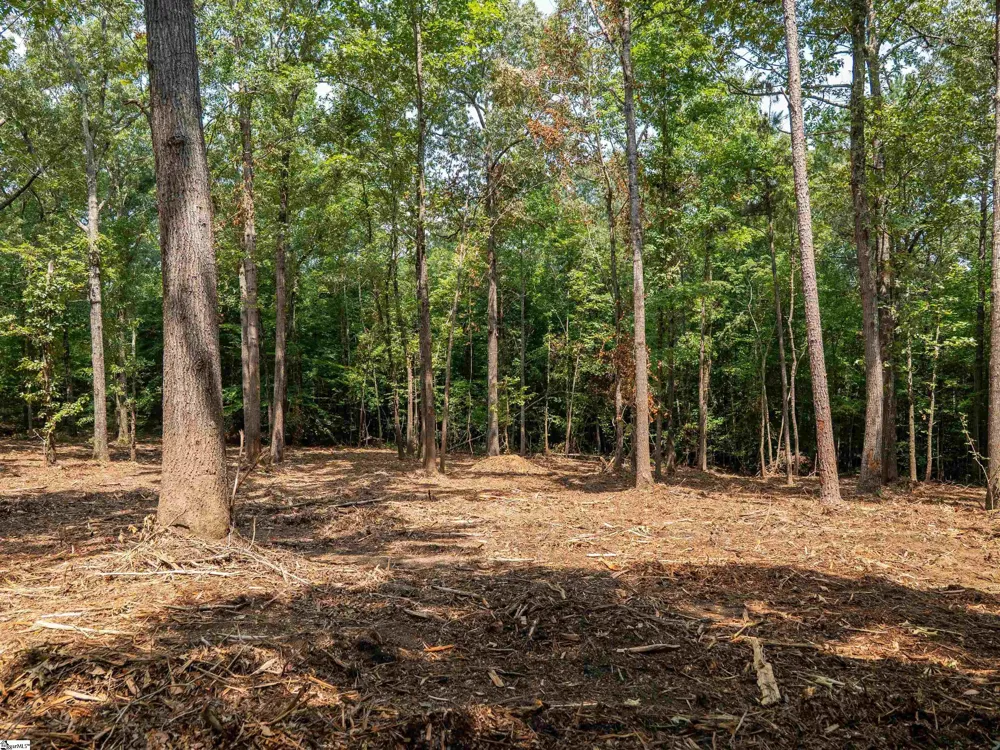00 Cheek Road #Lot 19 Gray Court, SC 29645