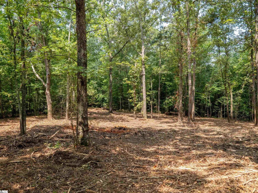 00 Cheek Road #Lot 19 Gray Court, SC 29645